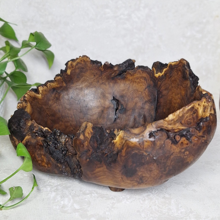 میوه خوری تمام جوش سنجد