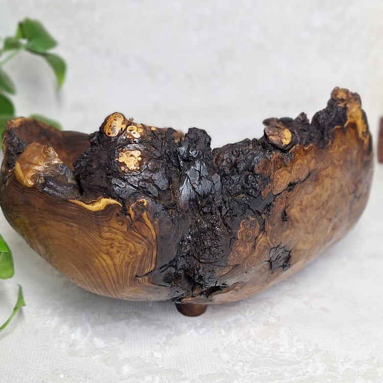 میوه خوری تمام جوش سنجد