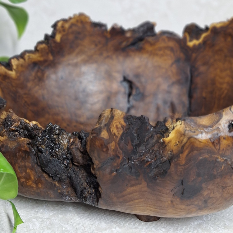 میوه خوری تمام جوش سنجد